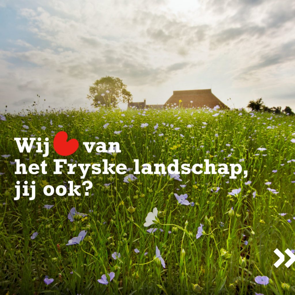 Fryslân Kleurt: een breed draagvlak voor Friese landbouw met meer kleur
